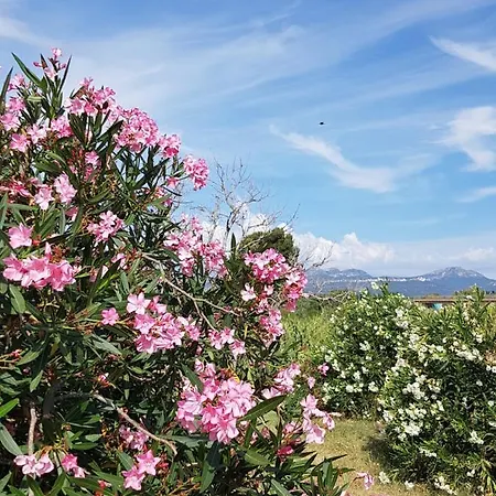 Mediterranee Blanca Bed & Breakfast Cambrils